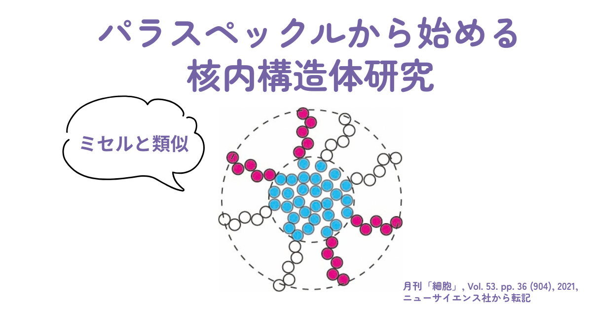 パラスペックルから始める核内構造体研究
