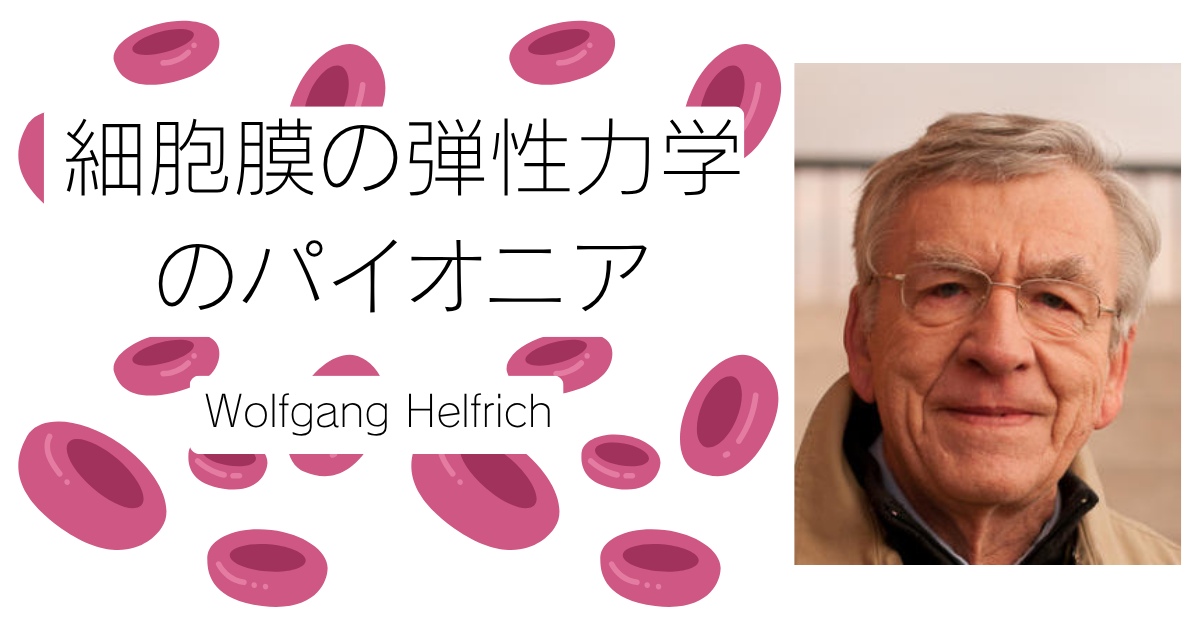 細胞膜の弾性力学のパイオニアーWolfgang Helfrich